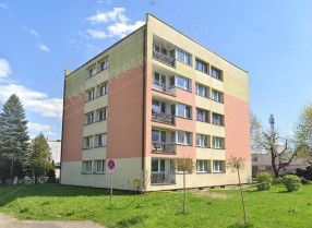 Image category