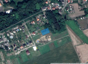 Image category