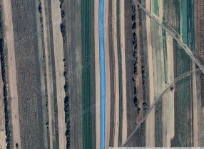 Image category