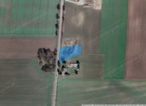 Image category