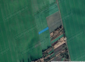 Image category