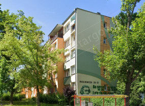 Image category