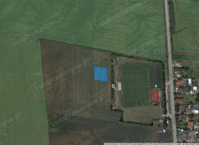 Image category