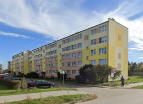 Image category