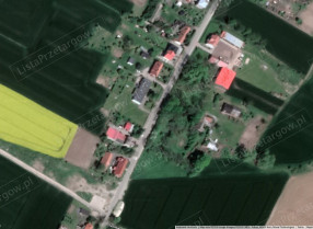Image category