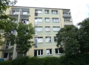 Image category