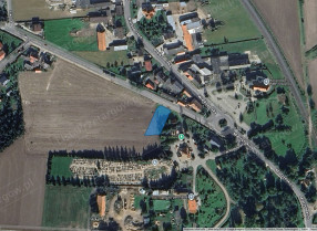 Image category