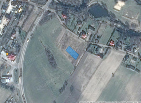 Image category
