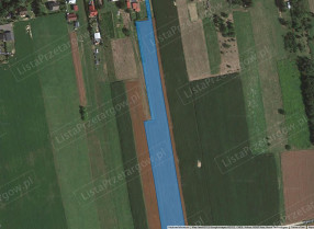 Image category