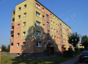 Image category