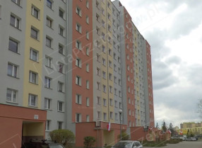 Image category