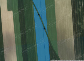 Image category