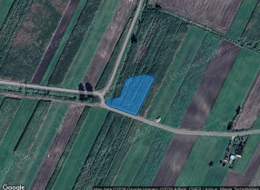 Nieruchomość