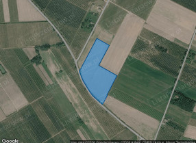 Nieruchomość