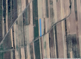 Image category