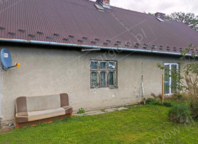 Image category
