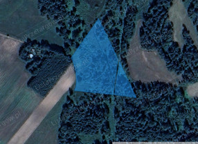 Image category