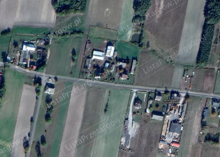 Image category