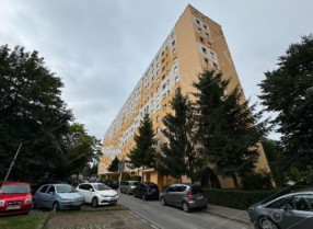 Image category