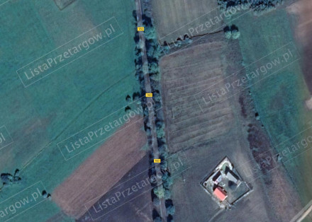 Image category