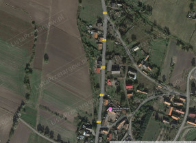 Image category