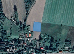 Image category