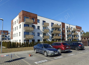 Image category