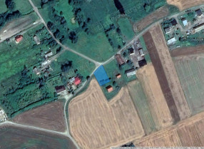 Image category