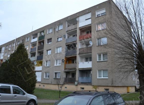 Image category