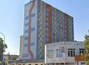 Image category