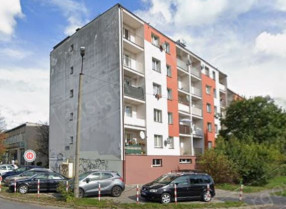 Image category