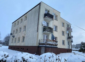 Image category