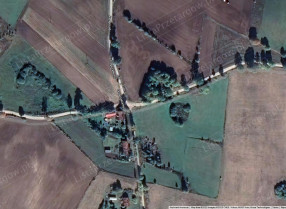 Image category