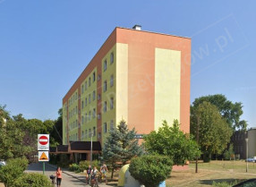 Image category