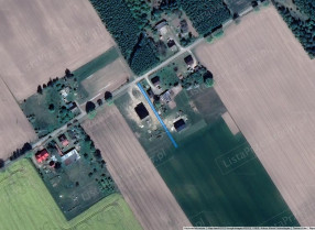 Image category