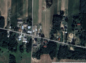 Image category