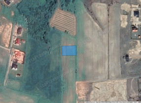 Image category