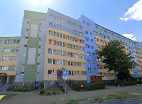 Image category