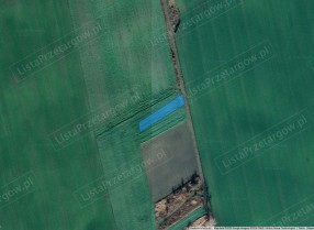Image category