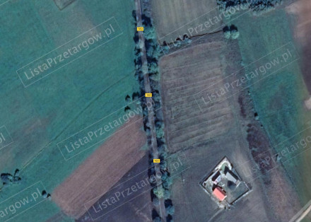 Image category