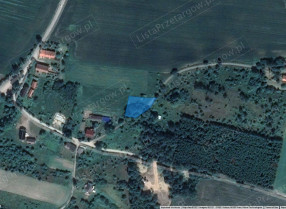 Image category