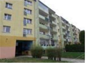Image category