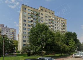 Image category