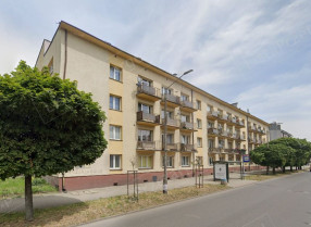 Image category