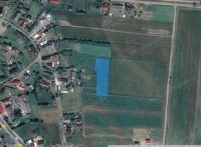 Image category