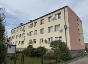 Image category