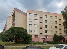 Image category