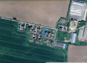 Image category