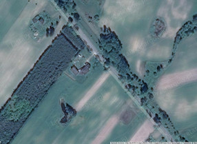Image category