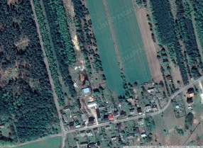Image category